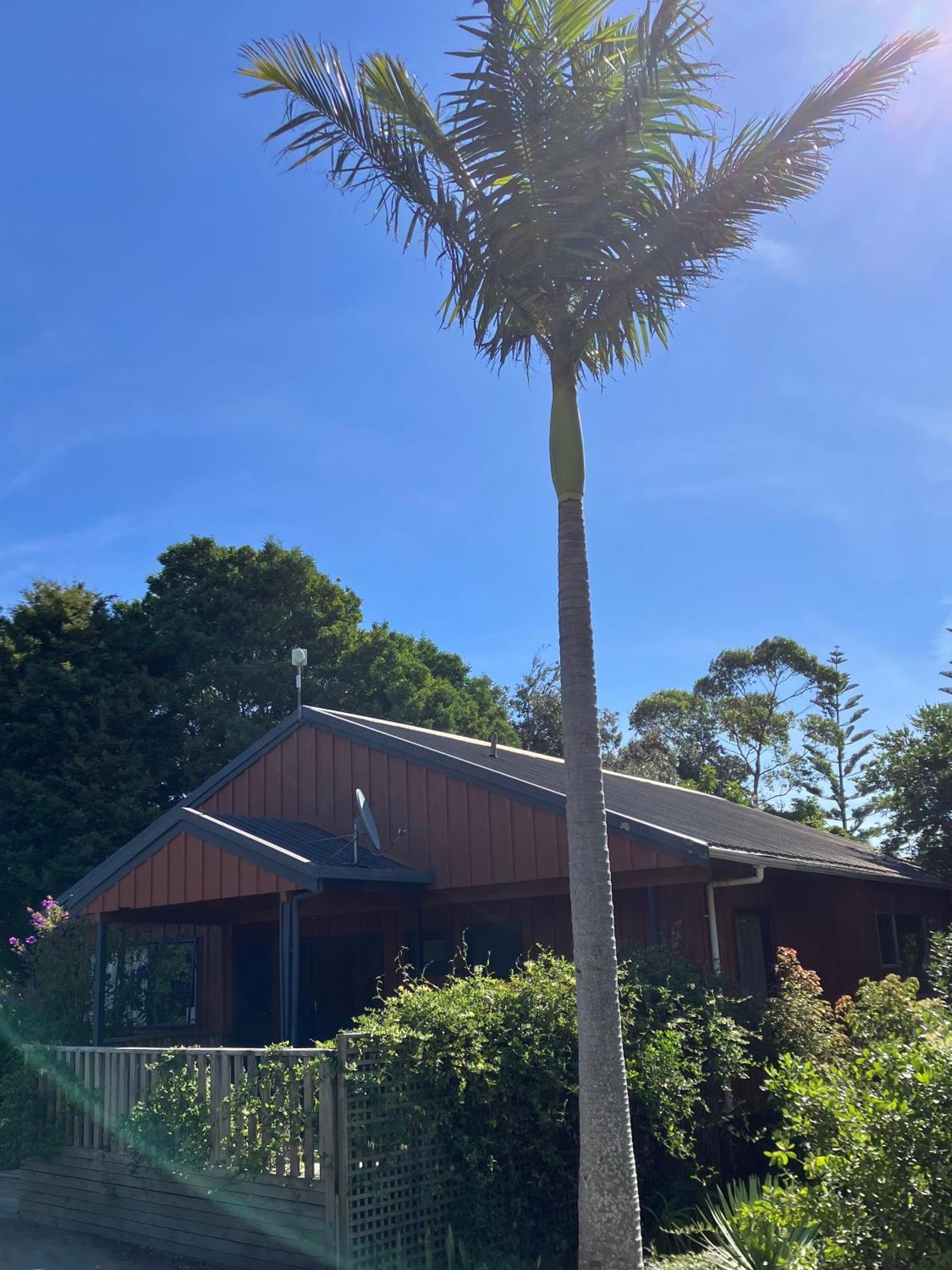 Ahipara Holiday Park Eksteriør billede
